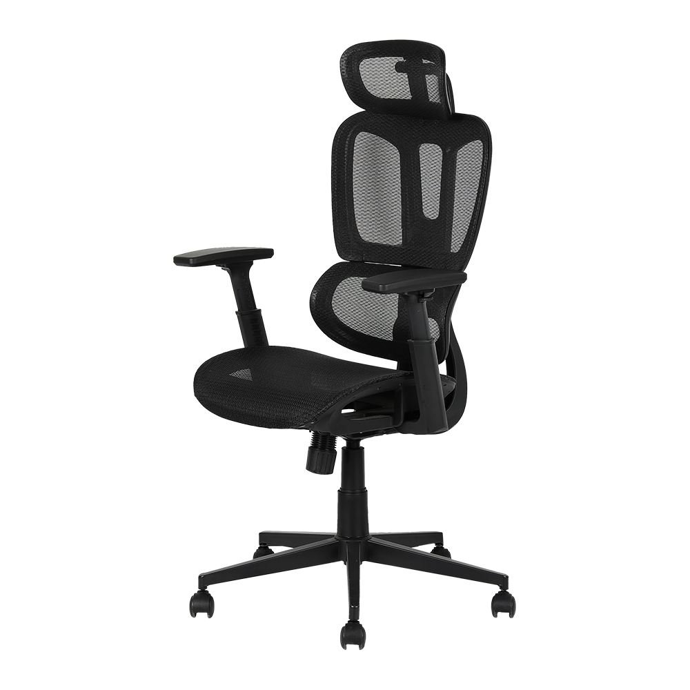 XL-5093 Bel kısmı bölünmüş ergonomik Fileli sandalye