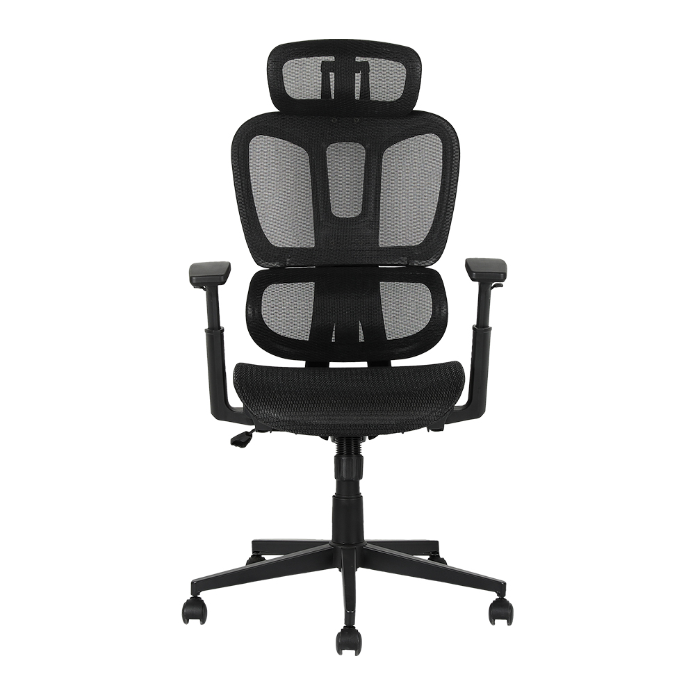 XL-5093 Bel kısmı bölünmüş ergonomik Fileli sandalye