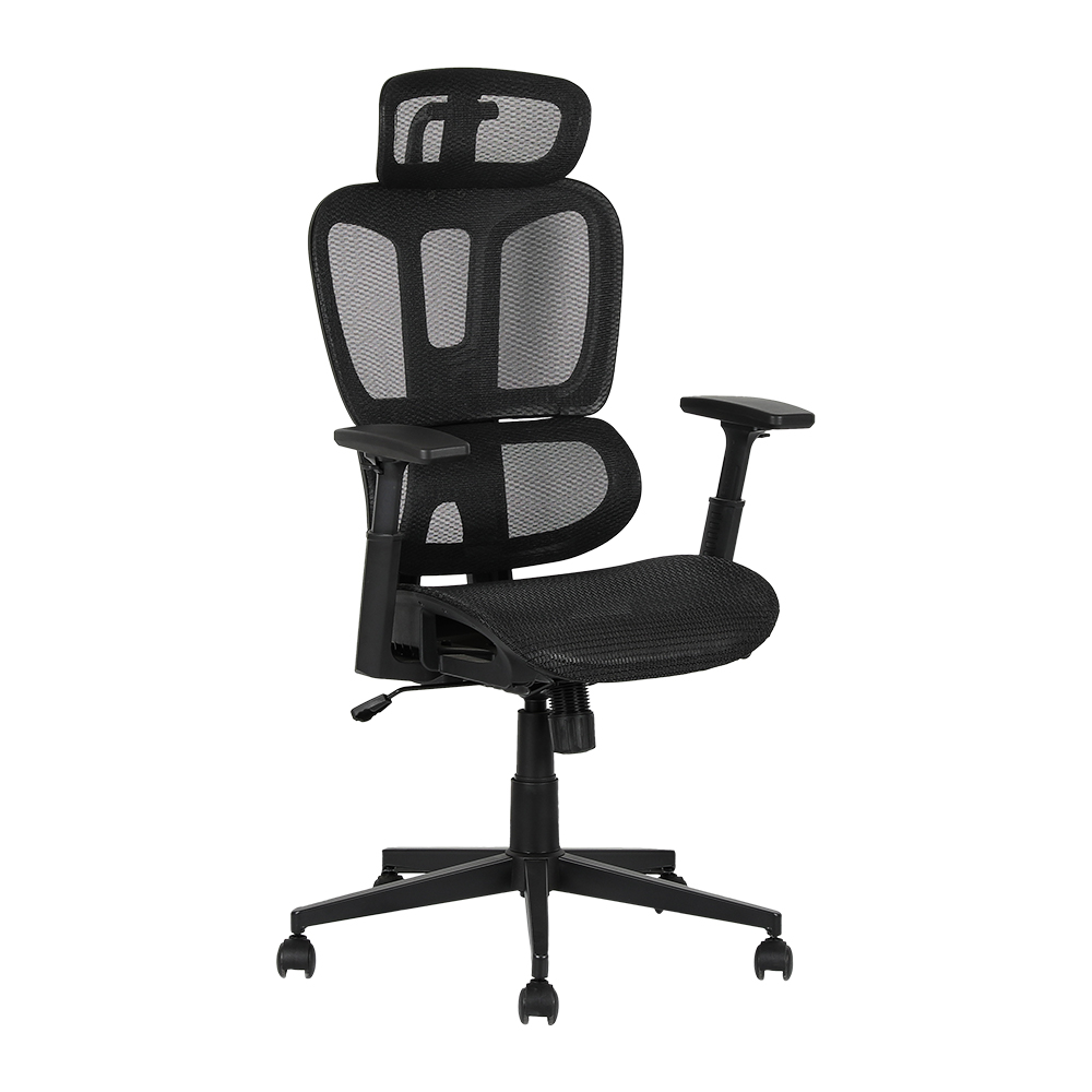 XL-5093 Bel kısmı bölünmüş ergonomik Fileli sandalye