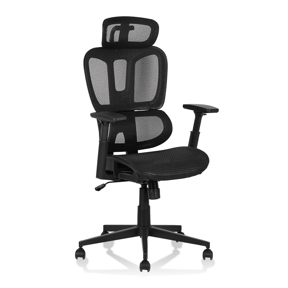 XL-5093 Bel kısmı bölünmüş ergonomik Fileli sandalye